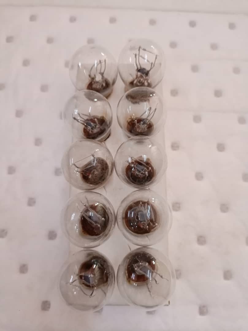 el_img1